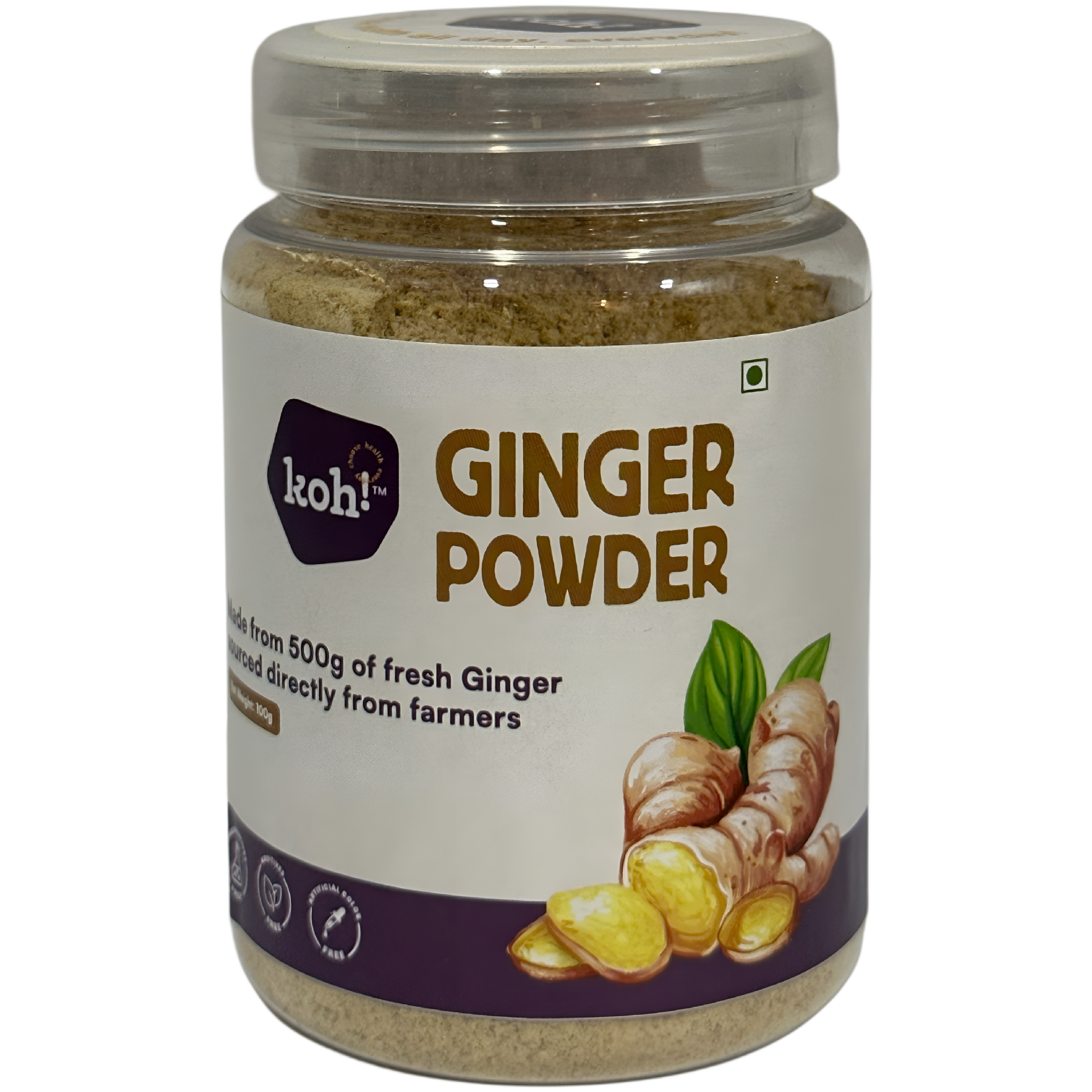 Ginger Powder | 100g